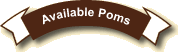 Available Poms